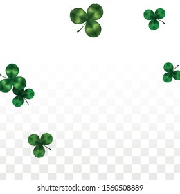 Vector Clover Leaf  Isolated on Transparent Background with Space for Text. St. Patrick's Day Illustration. Ireland's Lucky Shamrock Poster. Banner for Irish Party Top View.  Success Symbols.