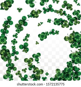 Vector Clover Leaf  Isolated on Transparent Background with Space for Text. St. Patrick's Day Illustration. Ireland's Lucky Shamrock Poster. Banner for Irish Party Flatlay.  Success Symbols.