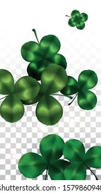 Vector Clover Leaf  Isolated on Transparent Background with Space for Text. St. Patrick's Day Illustration. Ireland's Lucky Shamrock Poster. Banner for Concert in Pub. Top View.  Success Symbols.