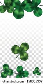 Vector Clover Leaf  Isolated on Transparent Background with Space for Text. St. Patrick's Day Illustration. Ireland's Lucky Shamrock Poster. Banner for Irish Party Top View.  Success Symbols.