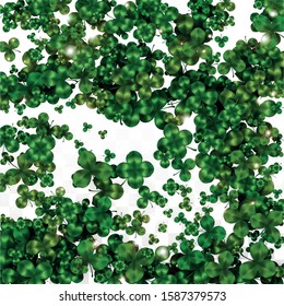 Vector Clover Leaf  Isolated on Transparent Background with Space for Text. St. Patrick's Day Illustration. Ireland's Lucky Shamrock Poster. Invintation for Concert in Pub. Top View.  Success Symbols.