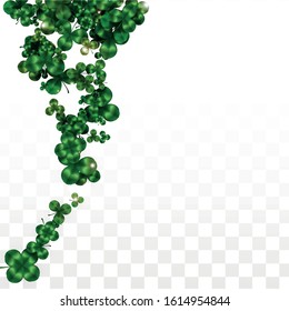 Vector Clover Leaf  Isolated on Transparent Background with Space for Text. St. Patrick's Day Illustration. Ireland's Lucky Shamrock Poster. Invintation for Concert in Pub. Flatlay.  Success Symbols.