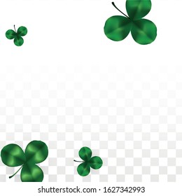 Vector Clover Leaf  Isolated on Transparent Background with Space for Text. St. Patrick's Day Illustration. Ireland's Lucky Shamrock Poster. Banner for Irish Party Top View.  Success Symbols.
