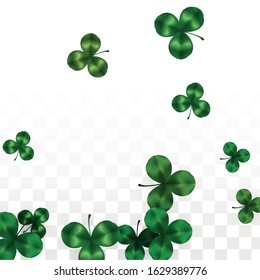 Vector Clover Leaf  Isolated on Transparent Background with Space for Text. St. Patrick's Day Illustration. Ireland's Lucky Shamrock Poster. Invintation for Concert in Pub. Top View.  Success Symbols.
