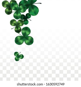 Vector Clover Leaf  Isolated on Transparent Background with Space for Text. St. Patrick's Day Illustration. Ireland's Lucky Shamrock Poster. Invintation for Concert in Pub. Top View.  Success Symbols.