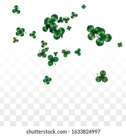 Vector Clover Leaf  Isolated on Transparent Background with Space for Text. St. Patrick's Day Illustration. Ireland's Lucky Shamrock Poster. Invintation for Irish Party Flatlay.  Success Symbols.