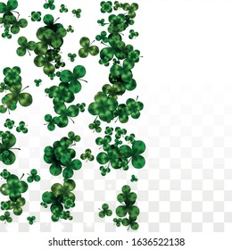 Vector Clover Leaf  Isolated on Transparent Background with Space for Text. St. Patrick's Day Illustration. Ireland's Lucky Shamrock Poster. Invintation for Irish Party Top View.  Success Symbols.