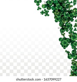 Vector Clover Leaf  Isolated on Transparent Background with Space for Text. St. Patrick's Day Illustration. Ireland's Lucky Shamrock Poster. Invintation for Concert in Pub. Flatlay.  Success Symbols.