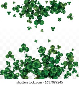 Vector Clover Leaf  Isolated on Transparent Background with Space for Text. St. Patrick's Day Illustration. Ireland's Lucky Shamrock Poster. Banner for Concert in Pub. Top View.  Success Symbols.