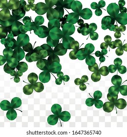 Vector Clover Leaf  Isolated on Transparent Background with Space for Text. St. Patrick's Day Illustration. Ireland's Lucky Shamrock Poster. Banner for Concert in Pub. Top View.  Success Symbols.