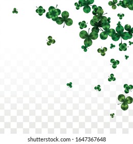 Vector Clover Leaf  Isolated on Transparent Background with Space for Text. St. Patrick's Day Illustration. Ireland's Lucky Shamrock Poster. Invintation for Irish Party Flatlay.  Success Symbols.