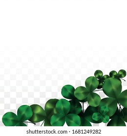 Vector Clover Leaf  Isolated on Transparent Background with Space for Text. St. Patrick's Day Illustration. Ireland's Lucky Shamrock Poster. Invintation for Concert in Pub. Flatlay.  Success Symbols.
