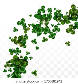 Vector Clover Leaf  Isolated on Transparent Background with Space for Text. St. Patrick's Day Illustration. Ireland's Lucky Shamrock Poster. Invintation for Concert in Pub. Flatlay.  Success Symbols.