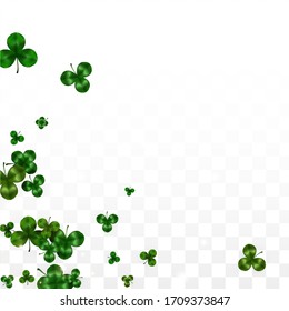 Vector Clover Leaf  Isolated on Transparent Background with Space for Text. St. Patrick's Day Illustration. Ireland's Lucky Shamrock Poster. Invintation for Concert in Pub. Top View.  Success Symbols.