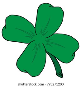 Vector clover leaves. Four leaf clover isolated on white, vector illustration for St. Patrick's day.