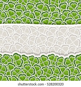 Vector Clover Pattern for St Patrick's Day, Green Shamrock banner with border for greeting text, ornament clover foliage, gray shamrock pattern, floral background irish patrick trefoil, green art lawn