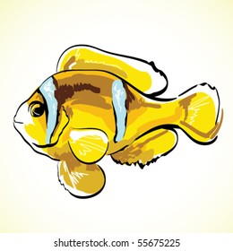 Vector clown fish