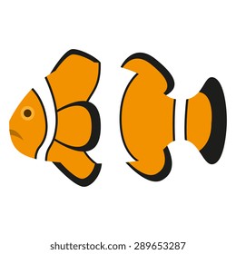 Vector Clown Fish Illustration Isolated On White Background