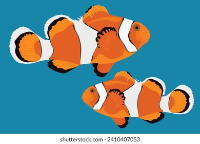 vector of clown fish in the sea, vector illustration. Eps 10