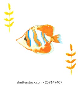 Vector clownfish in watercolor style  isolated on white background