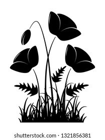 vector clump of corn poppies in grass isolated on white background