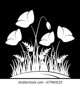vector clump of corn poppies in grass isolated on black background