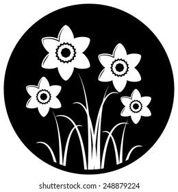 vector clump of daffodils isolated on black round background