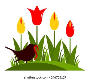 vector clump of tulips and bird with worm isolated on white background
