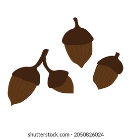 Vektorgrafik von vier braunen Akornen im Herbst. Herbst, Saison, Herbst Thema.