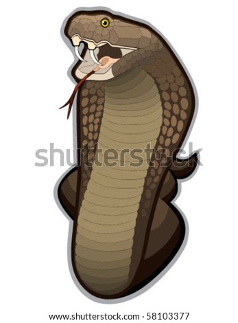 Vector Cobra snake defending his territory. This Cobra is on alert and ready to strike at any moment.