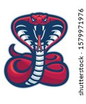 vector of cobra snake mascot ready to attack