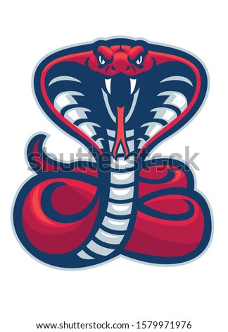 vector of cobra snake mascot ready to attack Stock photo © 