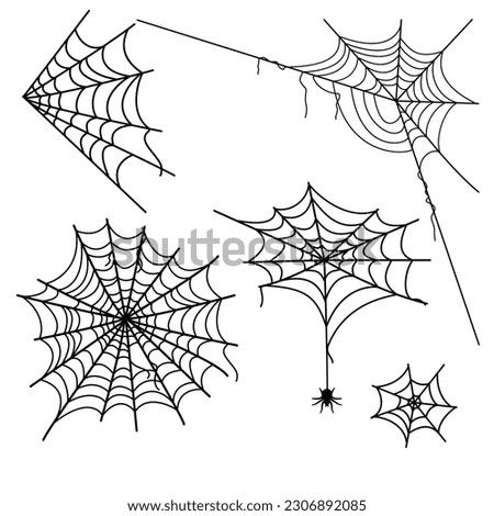 Vector cobweb decoration for halloween and horror stuff