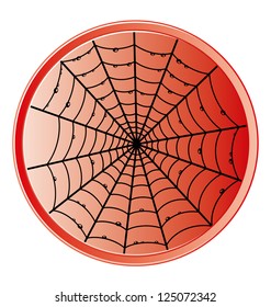 Vector. Cobweb icon.