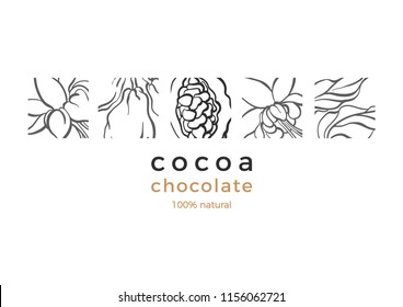 Vector cocao template Nature card Chocolate tree, branch, leaves, bean, grain. Natural sweet, organic drink, vegan fruit, bio food Hand drawn logo Art illustration on white background, cover, packing