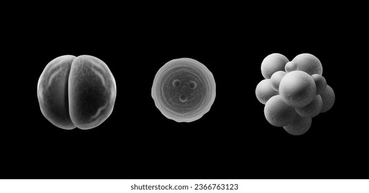 Vector cocci bacteria and virus cells set close up isolated on black background