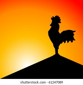 vector cock