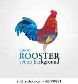 Vector cock. Colorful rooster on a gray background with a pattern.