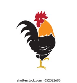 Vector of a cock design on white background, Farm Animals