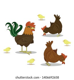 Vector cock, hen, chickens on white background. Farm poultry chicken.