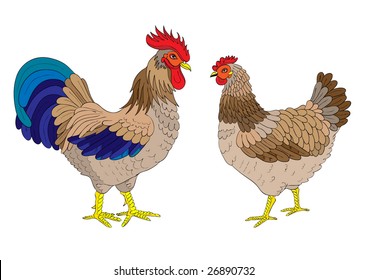 Vector cock and hen on white background.