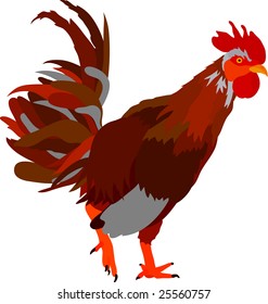 vector - cock isolated on backround