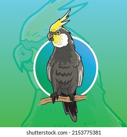 vector Cockatiel Bird Mascot Illustration Grey