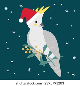 Vector Cockatoo Navidad Navidad Navidad Ave de caricatura australiana tropical con Sombrero de Santa y Wattle