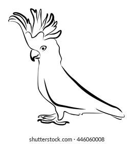 Vector cockatoo silhouette isolated on white background. Tropical bird illustration. Hand drawn parrot with crest. Cacatuidae family, Cacatuoidea superfamily, Psittaciformes order, Aves class bird art