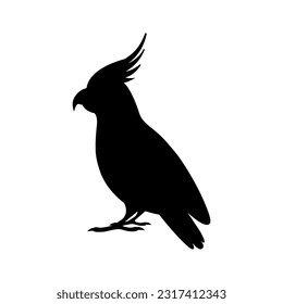 Vector cockatoo silhouette on white background