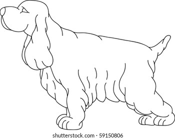 vector -  a Cocker Spaniel isolated on background