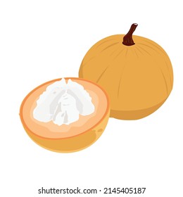vector of Cockerels look delicious on white background