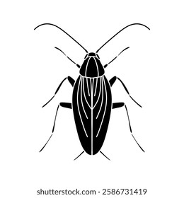 Vector cockroach illustration in black and white isolated on white background.