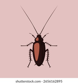 Vector cucaracha ilustración realista dibujado a mano